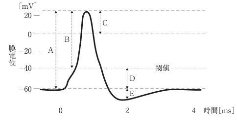 137185