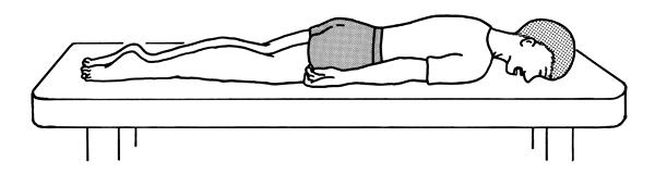 41LnvdYv4g88WF6OD54yT