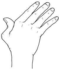 6-yh5-oV5EJ6aPuj5jjB7