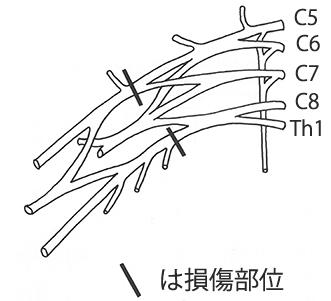 6TCrpW2aqJnv2m0oY019J