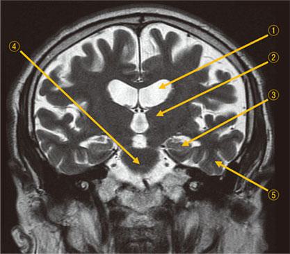 8pt2bp-gICDoZvntjjCm-
