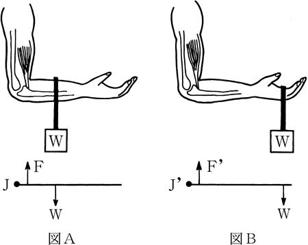 AlcsyKHmuDplwKRcmarqG