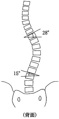 C1WYalkhqjLHokaq2BDUO