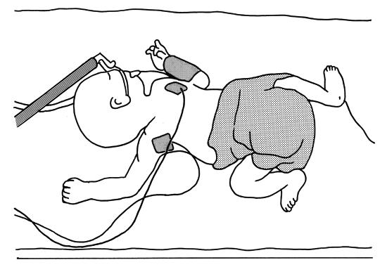 DNAUkfKSPKR6GHGrMvTtW