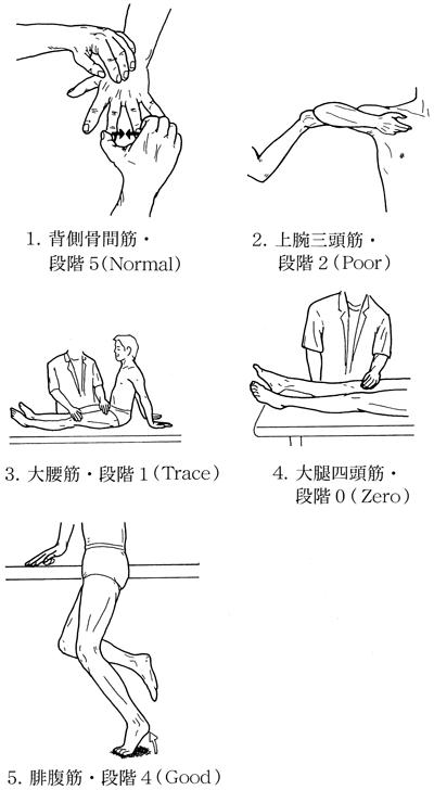 DoLq1obh_znQUt84_2QCP