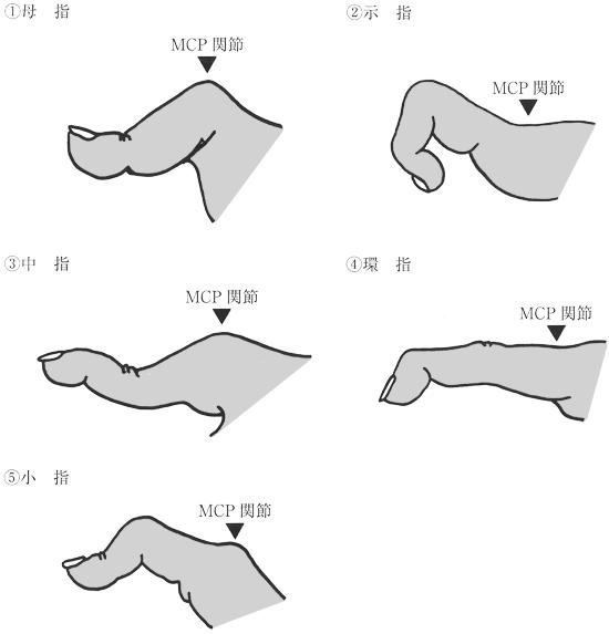 GMkc6SkGSIZ_8RM1BPHKr