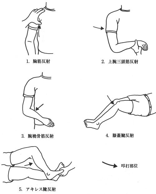 IEolbVGnX7TM86D70Wcfi