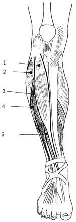 KaOv1BP1TJ8GzUNZ2bAmF
