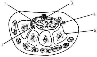 MeHtZwsB0c63OdHA-faHU