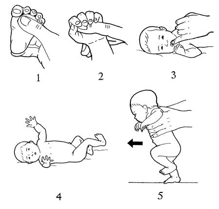 Pz35jBKhylStJwcVDdgWW