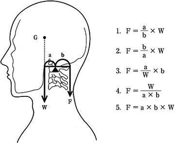 S5T44I4CQmef3C5Txng52