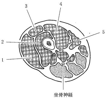 V4VS2-ul99NUpyyqhAVIh
