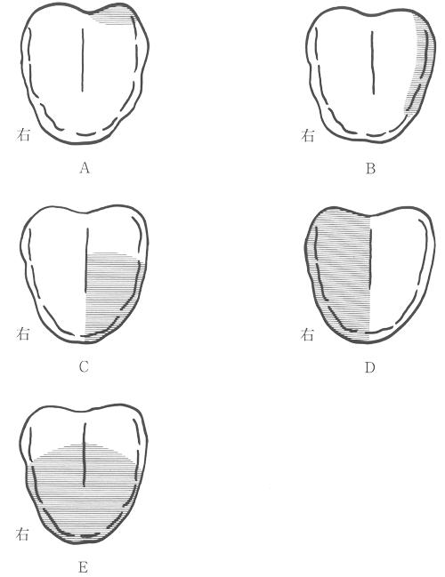 V6x4c6KNRpvZJ2xBD6i3_
