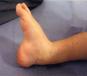 VVtyAEIIGfxkS5F-97zOB