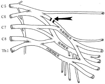 bD0Kf1cr_zOaOcH9Zhn8n