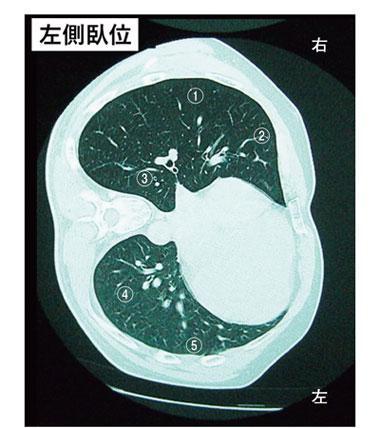 c1ey53ZVVflnELLXQ4sTv