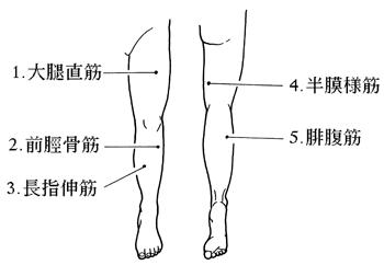 fBDkd9TT05PiRFU4Z5ypi