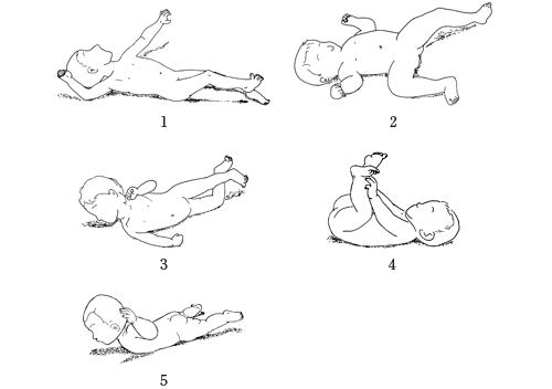 ggi8H6syQnz6DWLxMnsTH