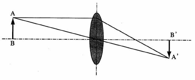 img11216-24-0