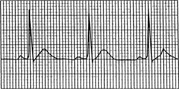 jPgE-MbHQprrYaeV_jqOL