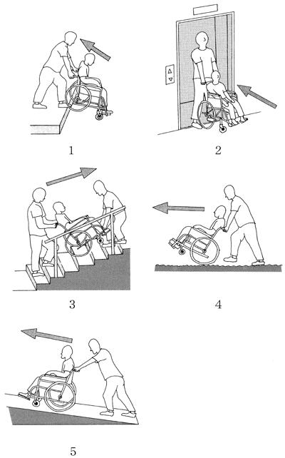 k8C8gmNdirVXjaGyI5aOe