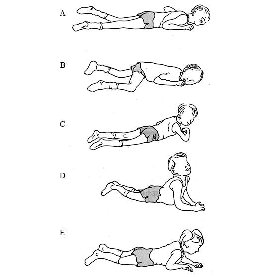 uJp612t6uCLTSpQRjmaIG