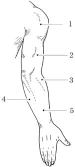 unb1HVHYtUnZcOgjnAbVW