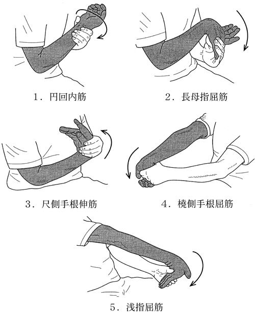 v8FWxIZ0T09KuUohsLZB9