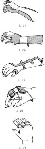 veEPcI8Nu5Sq5BR7VuevA