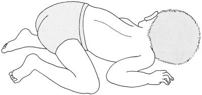 vidMjd_eccALkUw2-zr1f